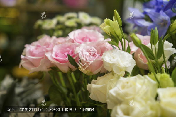 玫瑰花