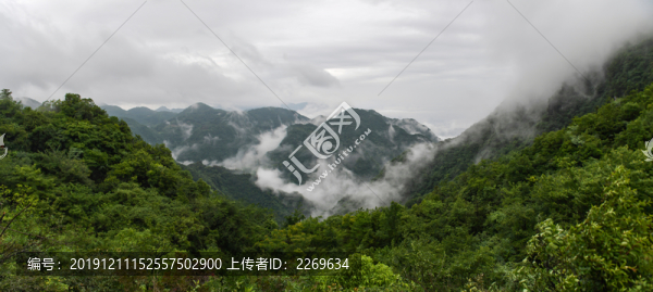 山