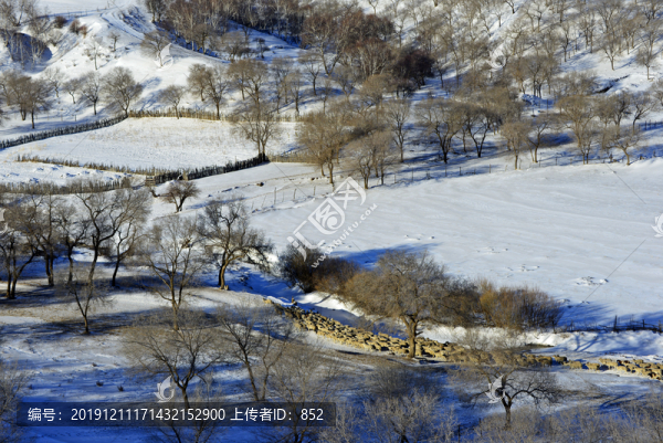壩上雪景