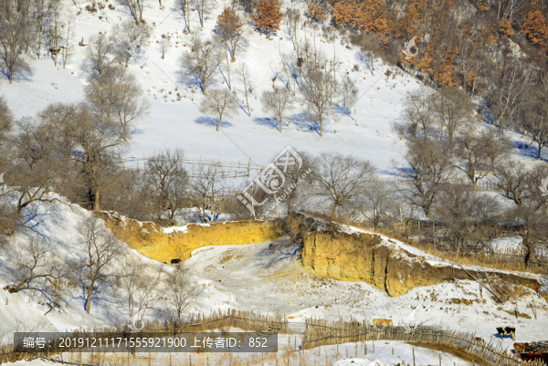 壩上雪景