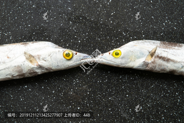 冰鮮帶魚