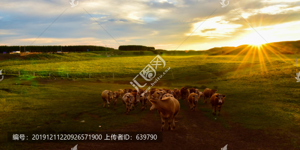 壩上風(fēng)光