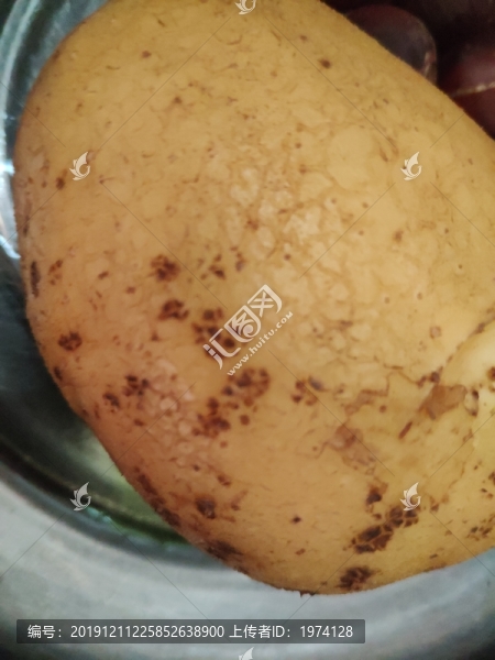 土豆