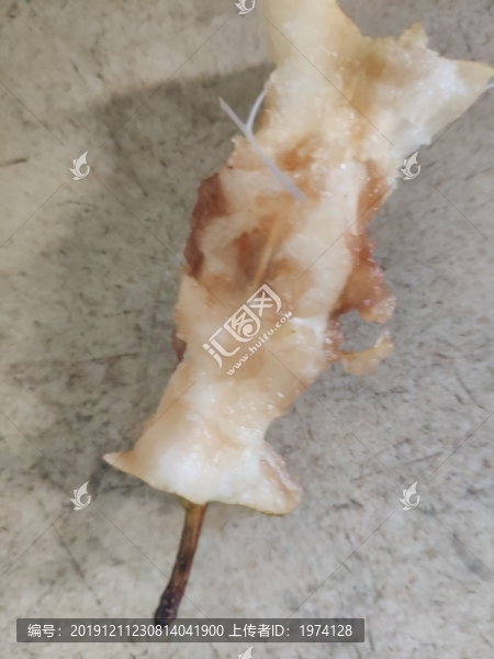 梨