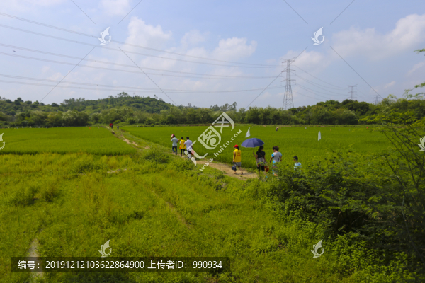 田野的小路上