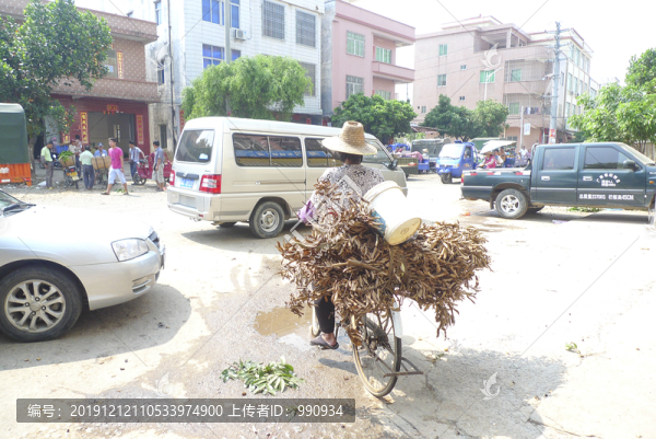 鄉(xiāng)鎮(zhèn)趕集