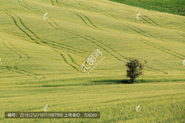 意大利托斯卡納田園自然風景