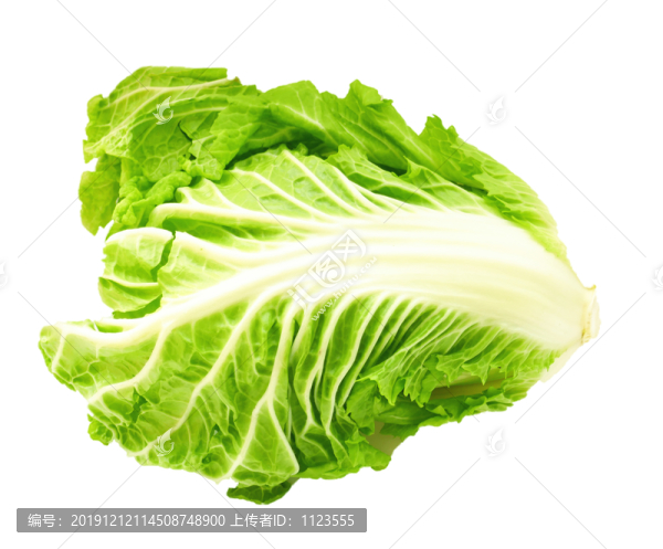 青白菜
