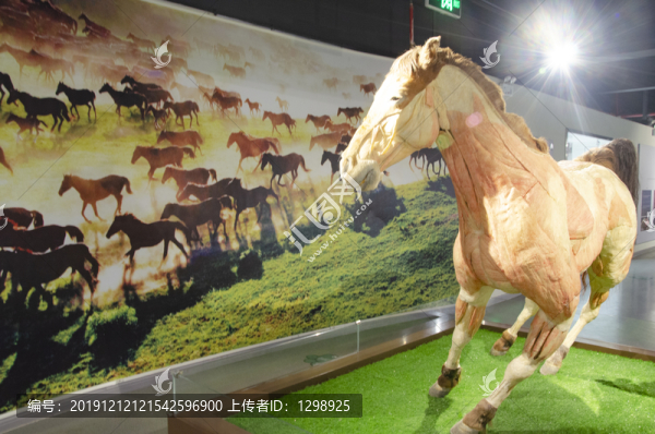 奔跑的馬標(biāo)本