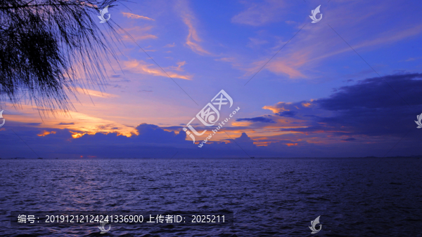 芭堤雅夜色