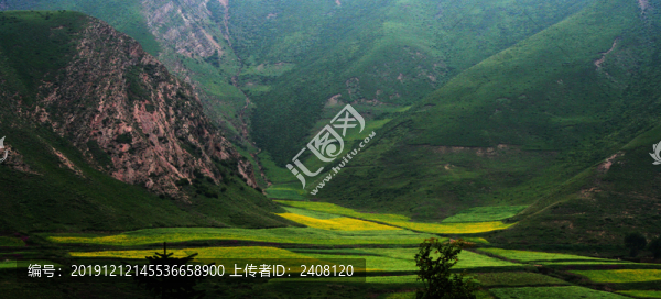 青海湖風(fēng)光