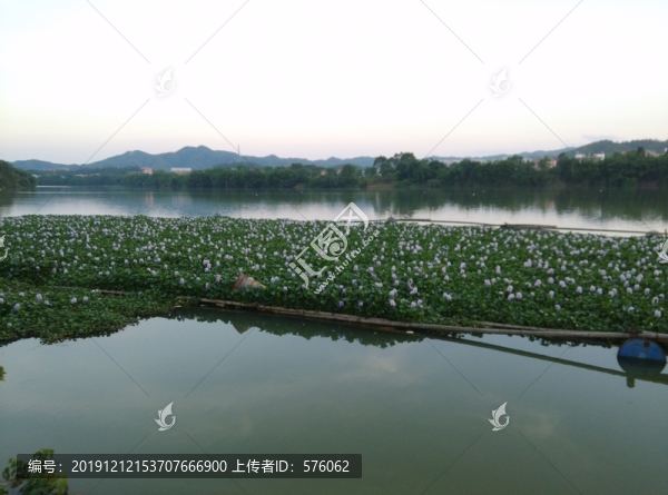 河面