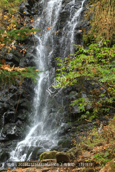 十五道溝望天鵝自然風(fēng)景區(qū)