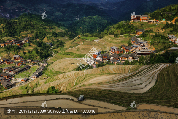 龍脊梯田