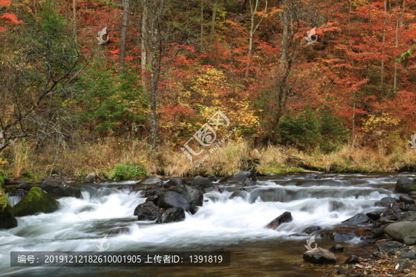 十五道溝望天鵝自然風(fēng)景區(qū)
