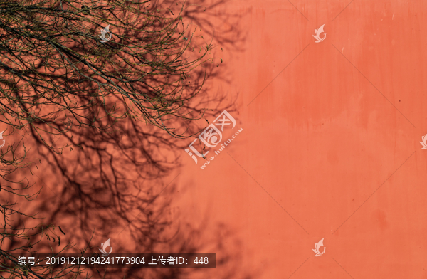 樹枝與紅墻