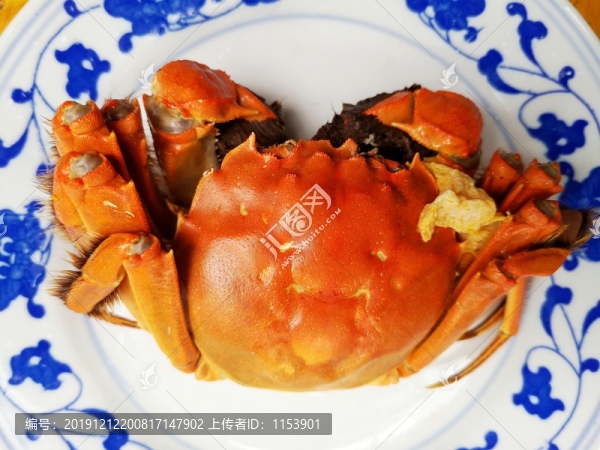 陽(yáng)澄湖大閘蟹