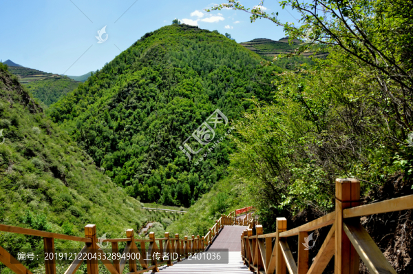 棧道青山