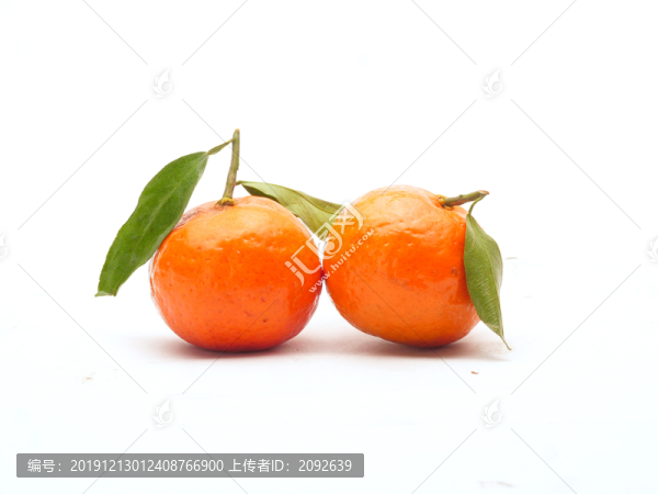 砂糖蜜桔