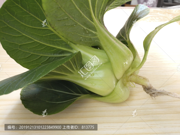新鮮綠葉小菜