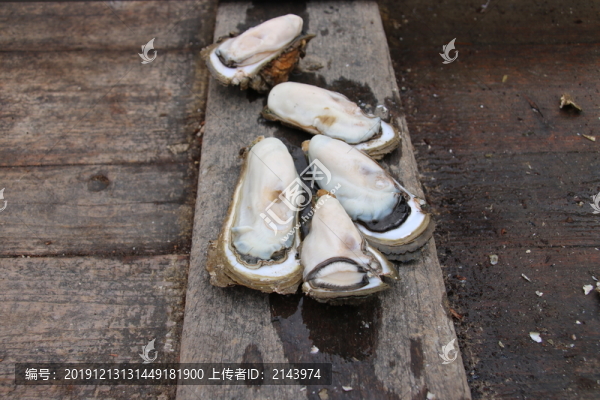 陽西程村蠔海鮮蠔肉