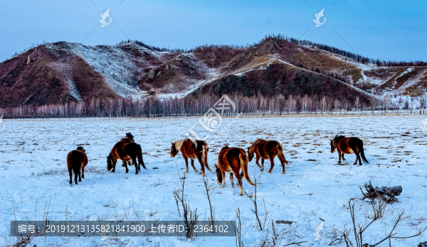 阿爾山冬韻