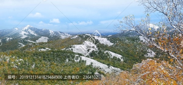 雪韻