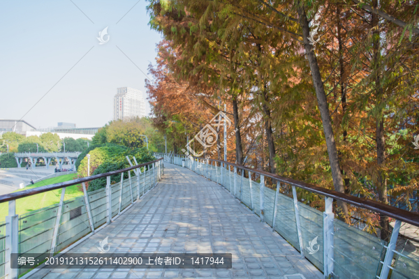 玻璃天橋