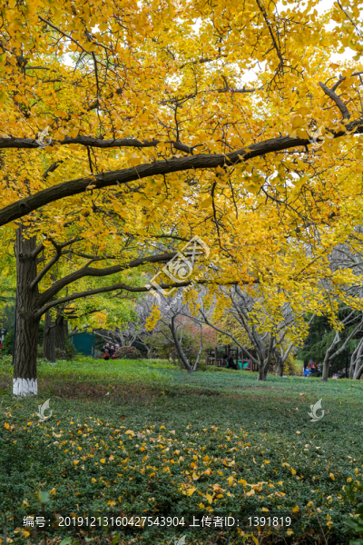 青島中山公園