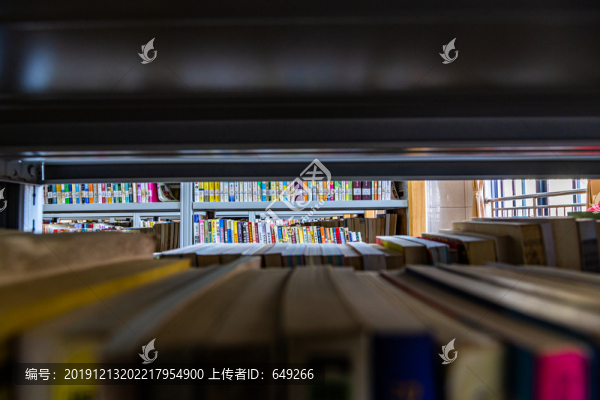 圖書館藏書