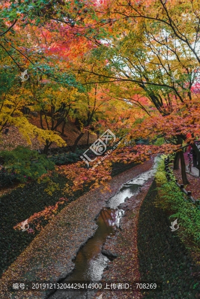 日本京都北野天滿宮秋季楓葉美景