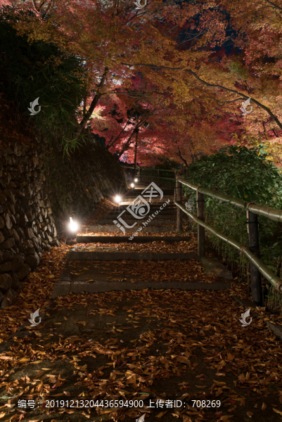 日本京都北野天滿宮秋季楓葉美景