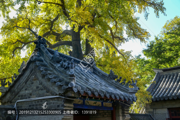 嶗山太清宮