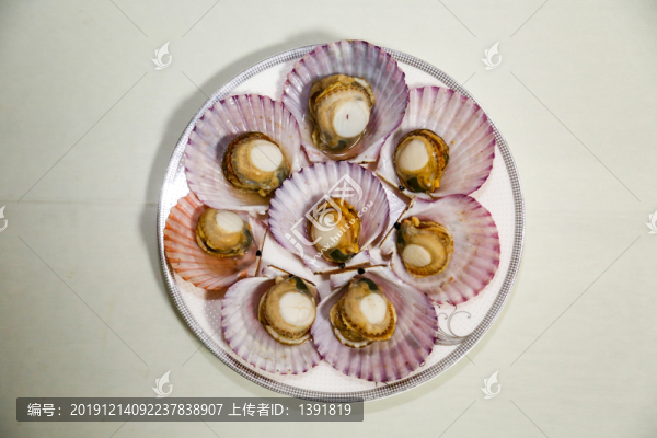 扇貝