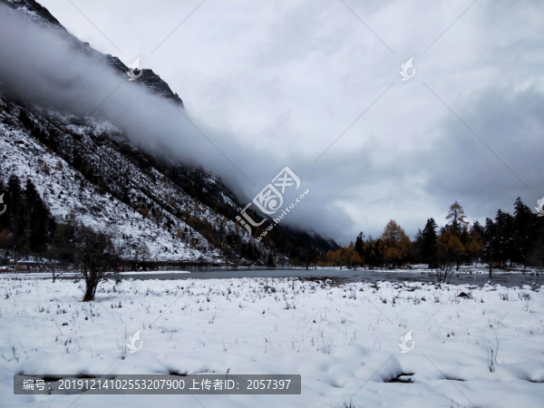雪地