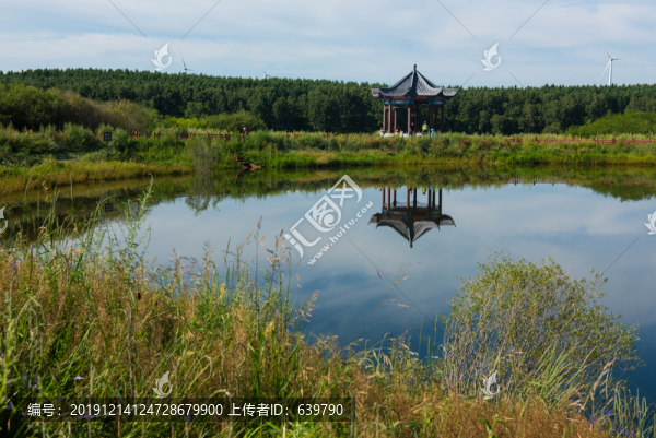 二龍泉