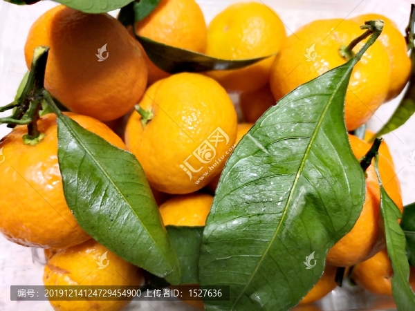 小橘子