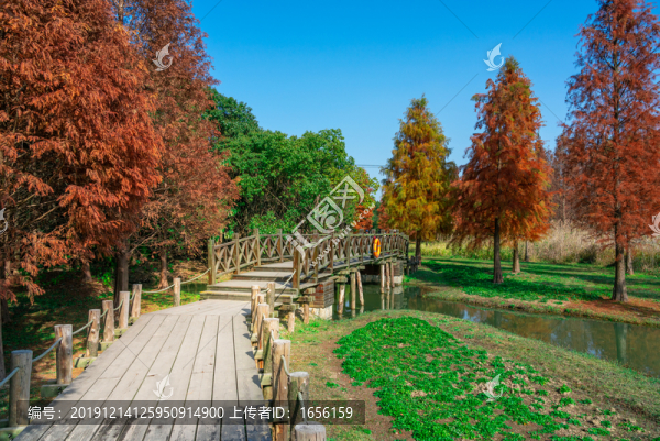 公園小路