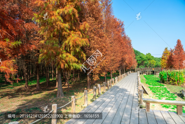 公園棧道