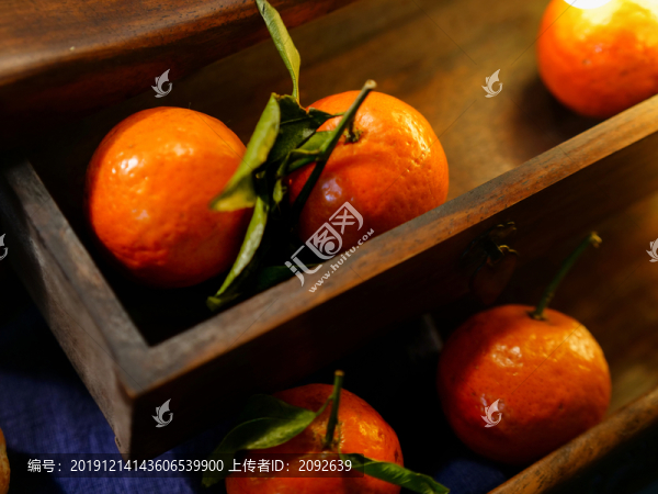 小蜜橘