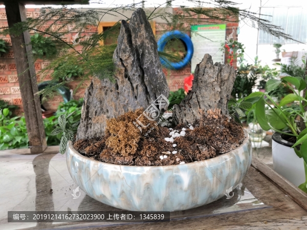 廣西南寧市桂景園植物學(xué)栽培