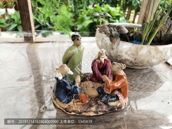 廣西南寧市桂景園植物學(xué)栽培