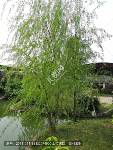 廣西南寧市桂景園植物學(xué)栽培
