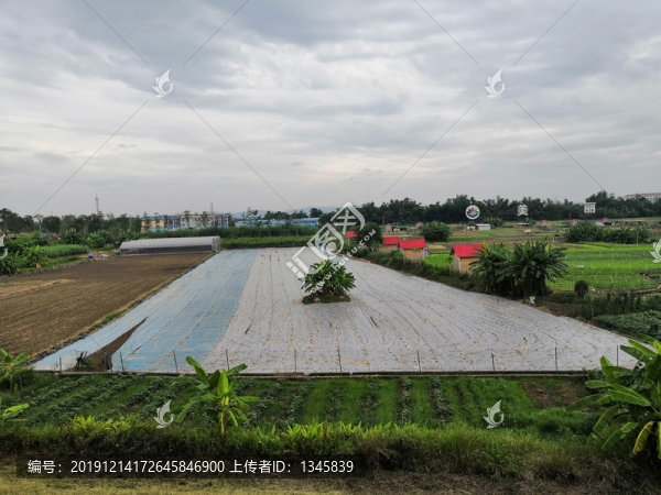 廣西南寧市青瓦村古部落