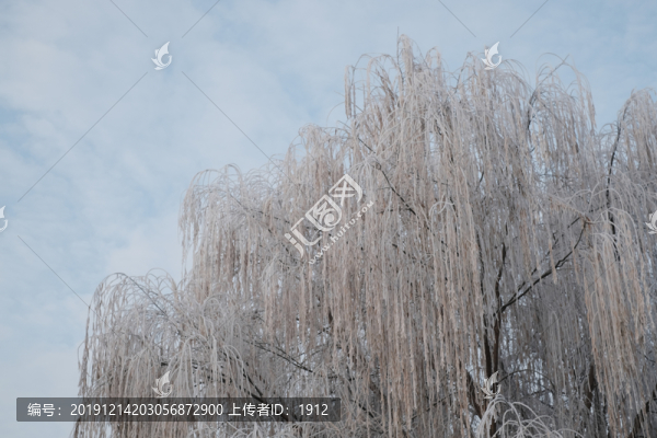 霧凇