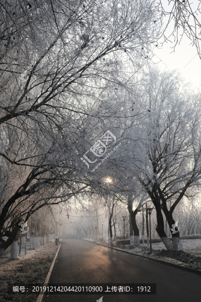 雪景