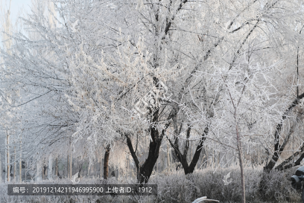 冬季雪景