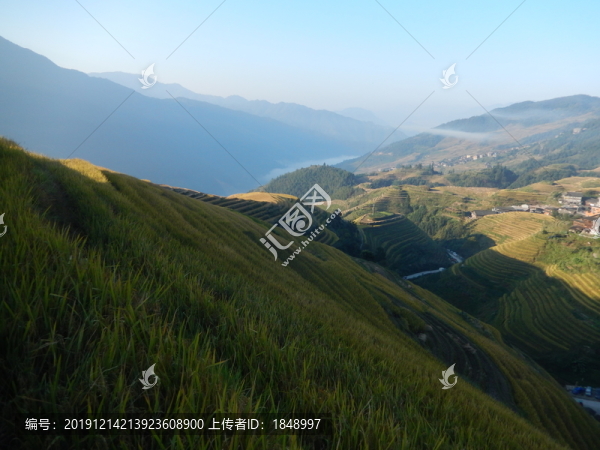 龍脊小景