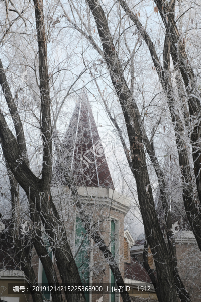 冬季雪景