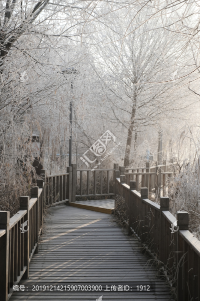公園的小路